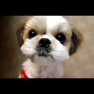 Meet your Posher, Yuni